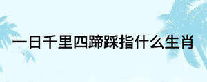 /nameask/27062.html