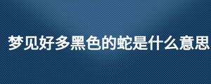 /nameask/27027.html