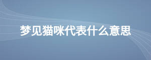 梦见猫咪代表什么意思