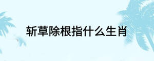 /nameask/27154.html