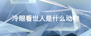 /nameask/27173.html
