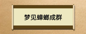 /nameask/27101.html