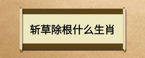 斩草除根什么生肖