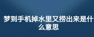 /nameask/27157.html