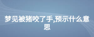 /nameask/27091.html
