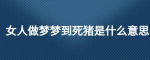 /nameask/27189.html