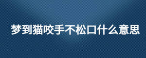 /nameask/27188.html