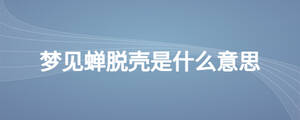 梦见蝉脱壳是什么意思