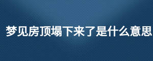 /nameask/27285.html