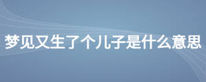 梦见又生了个儿子是什么意思