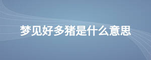 /nameask/27284.html