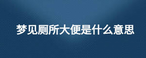 梦见厕所大便是什么意思
