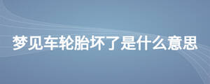 /nameask/27287.html