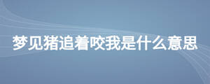/nameask/27329.html