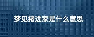 梦见猪进家是什么意思