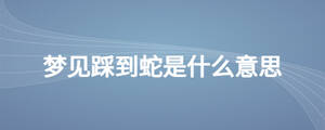 梦见踩到蛇是什么意思