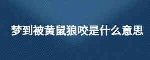 /nameask/27511.html