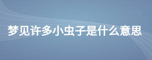 梦见许多小虫子是什么意思