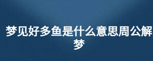 梦见好多鱼是什么意思周公解梦