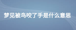 梦见被鸟咬了手是什么意思