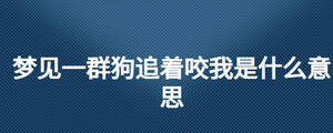 梦见一群狗追着咬我是什么意思