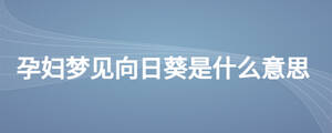 孕妇梦见向日葵是什么意思