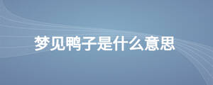 梦见鸭子是什么意思