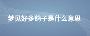 梦见好多鸽子是什么意思