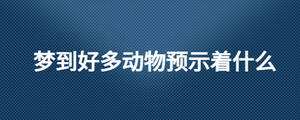 梦到好多动物预示着什么