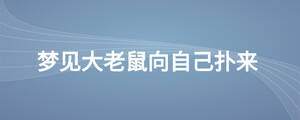 梦见大老鼠向自己扑来
