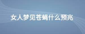 女人梦见苍蝇什么预兆