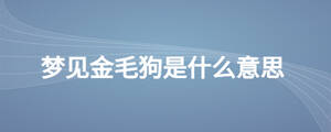 /nameask/27833.html