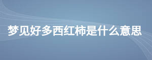 /nameask/27831.html