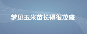 /nameask/27832.html