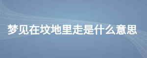 /nameask/27838.html