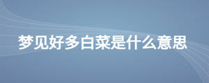 /nameask/27873.html