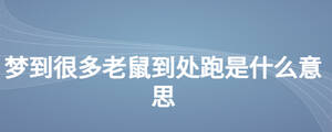 梦到很多老鼠到处跑是什么意思