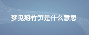 /nameask/27886.html