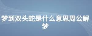 梦到双头蛇是什么意思周公解梦