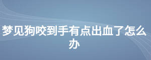 梦见狗咬到手有点出血了怎么办