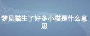 梦见猫生了好多小猫是什么意思