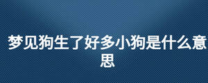 梦见狗生了好多小狗是什么意思