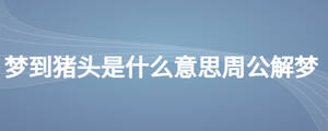 梦到猪头是什么意思周公解梦