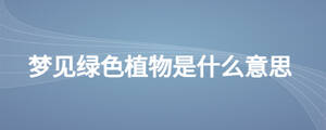 /nameask/27972.html