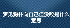 /nameask/27959.html
