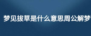 /nameask/28013.html