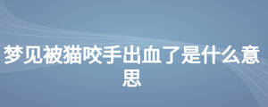 梦见被猫咬手出血了是什么意思