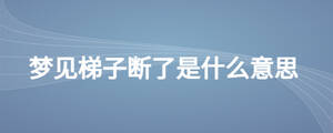 /nameask/28108.html