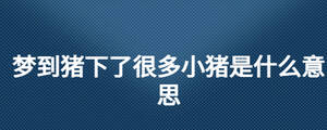 /nameask/28102.html