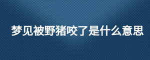/nameask/28079.html